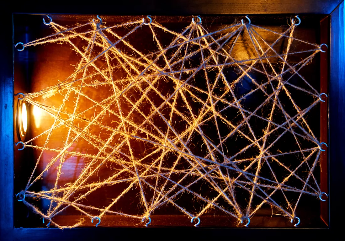 beautiful-composition-form-web-string-illuminated-by-lamp-high-quality-photo