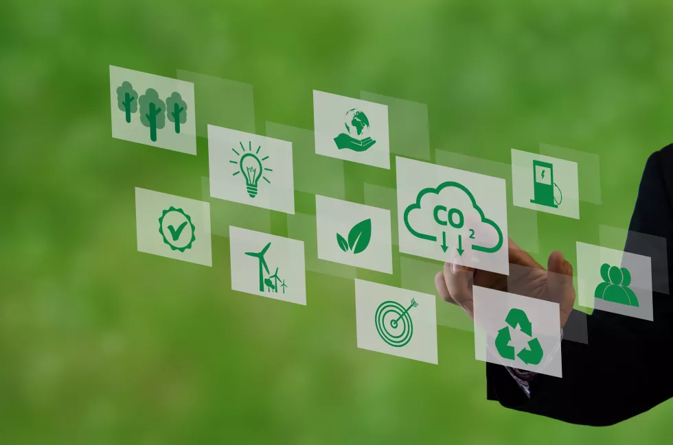 organizations-companies-develop-carbon-credit-business-virtual-screen-reduce-co2-emissions-sustainable-business-development-concept