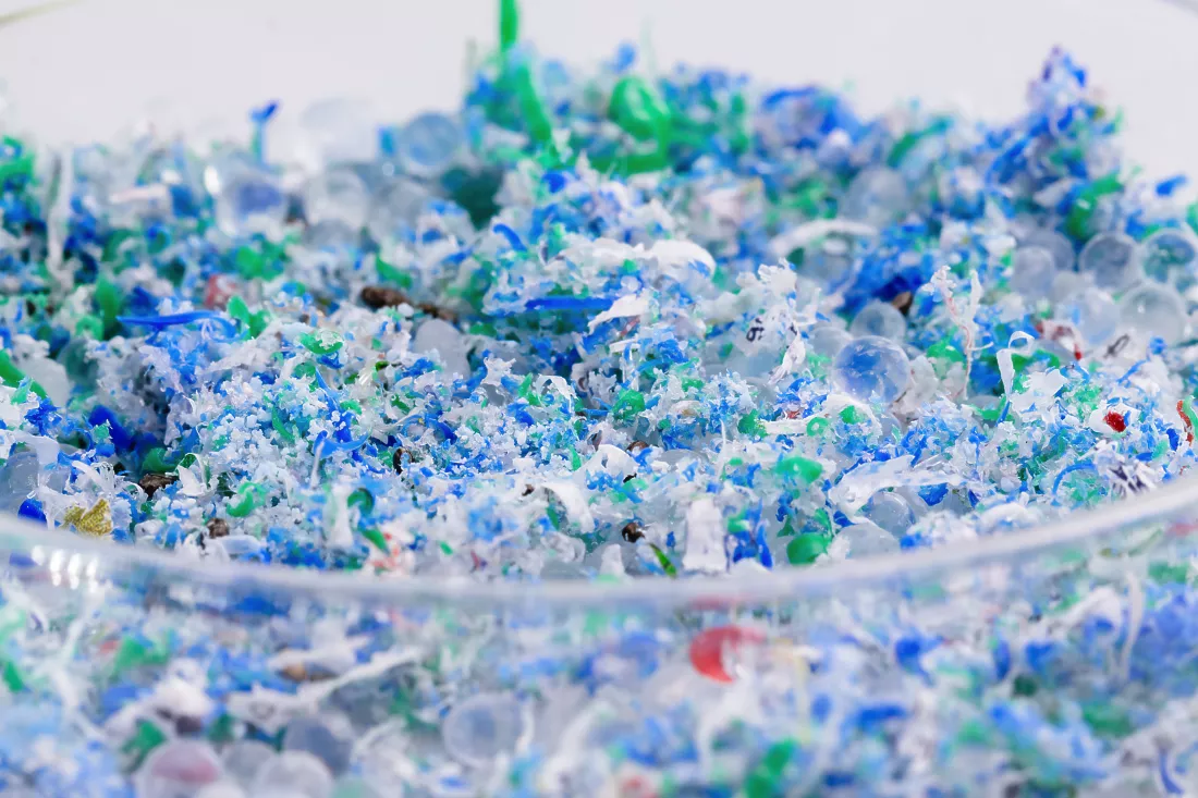 traces-plastic-microplastic-petri-dishes
