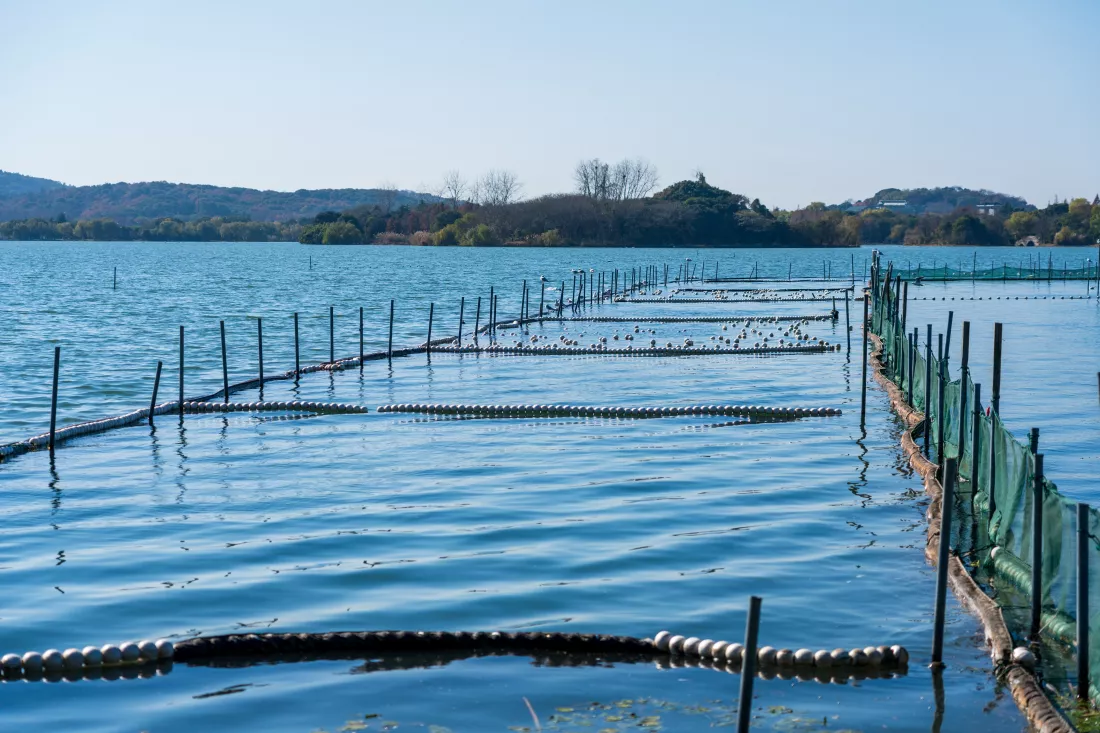 fish-farming-nets-lake-sunny-day