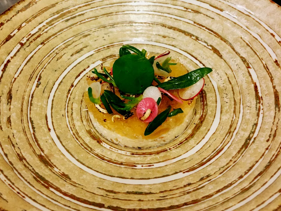 Gastronomia – sztuka kulinarnaa