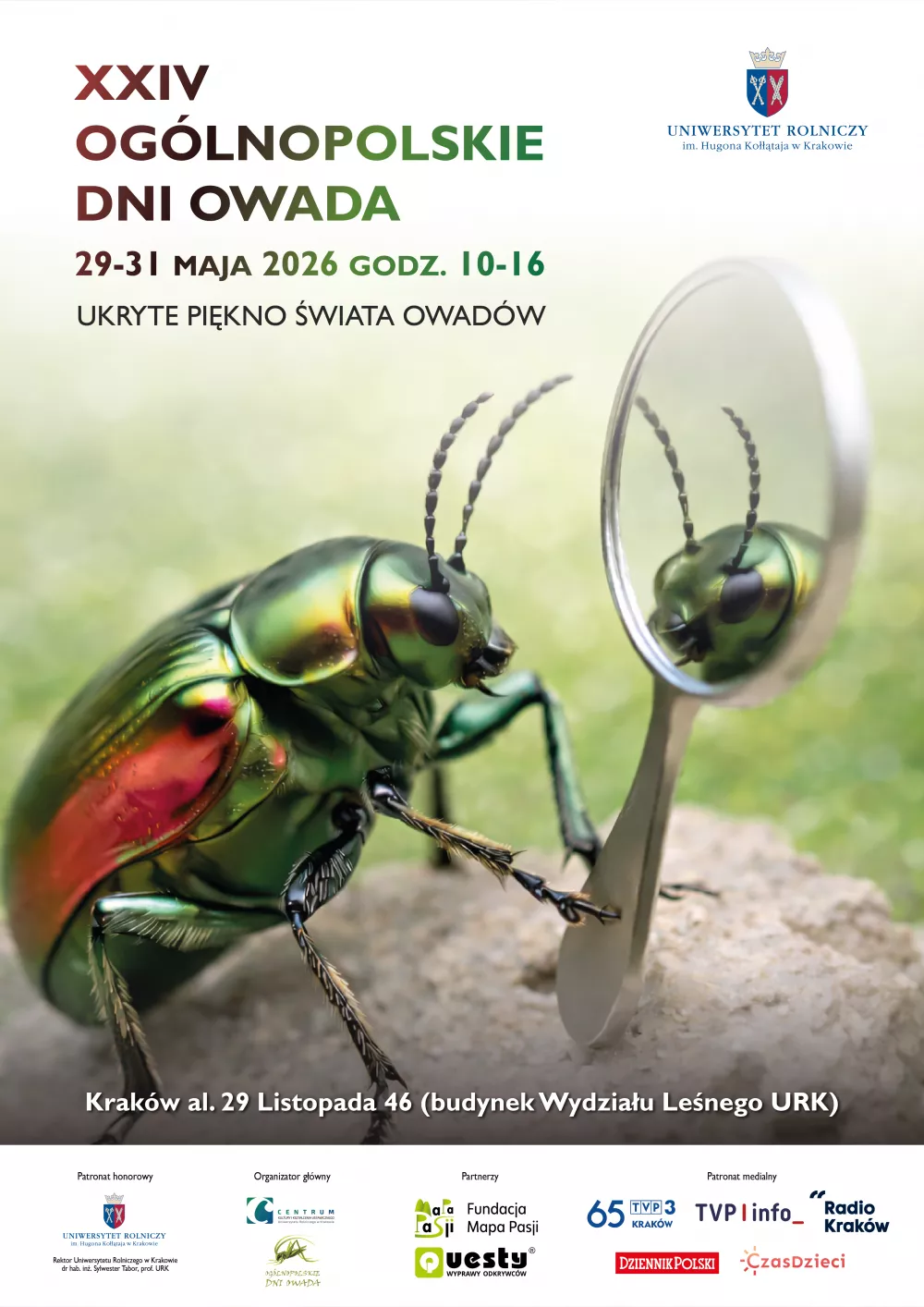 Dni Owada 2026 Plakat