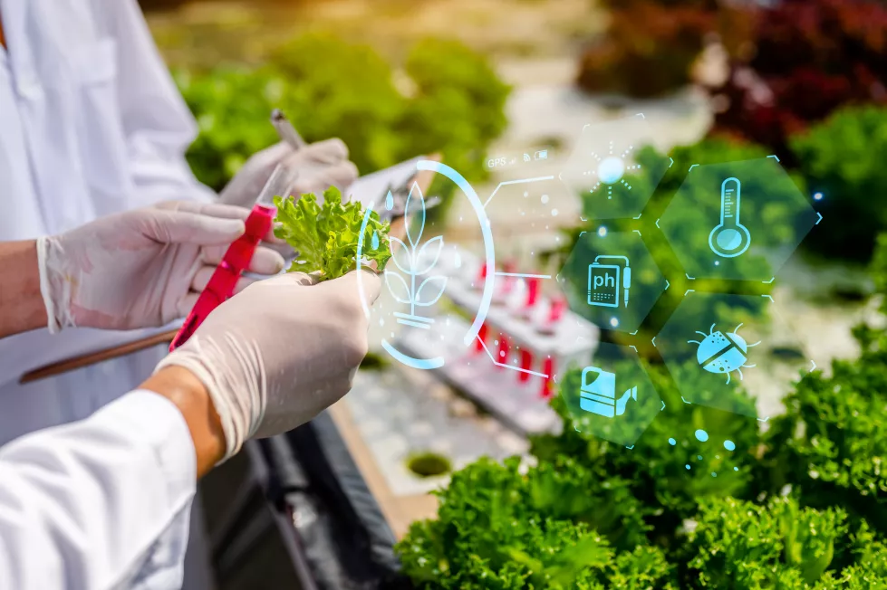 Technologia produktów roślinnych
