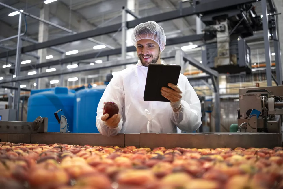 Inżynier jakości produktów żywnościowychd