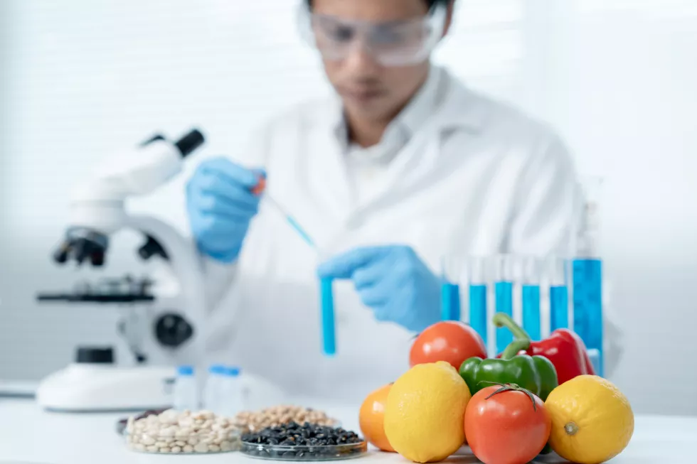 scientist-check-chemical-food-residues-laboratory-control-experts-inspect-quality-fruits-vegetables-lab-hazards-rohs-find-prohibited-substances-contaminate-microscope-microbiologist