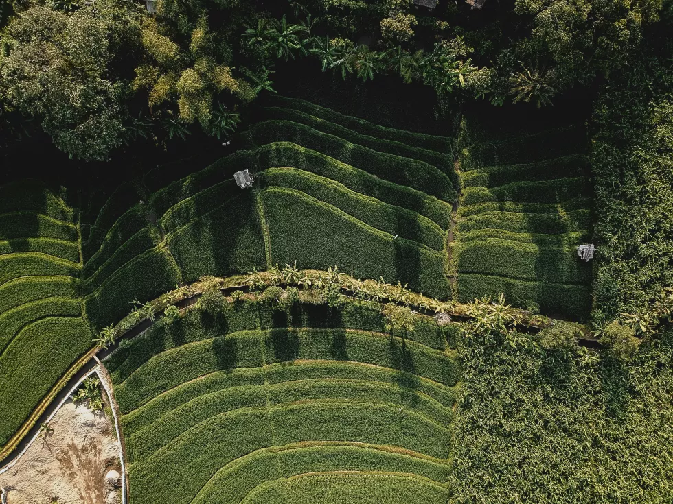 iswanto-arif-6yiq2HPIW7Q-unsplash