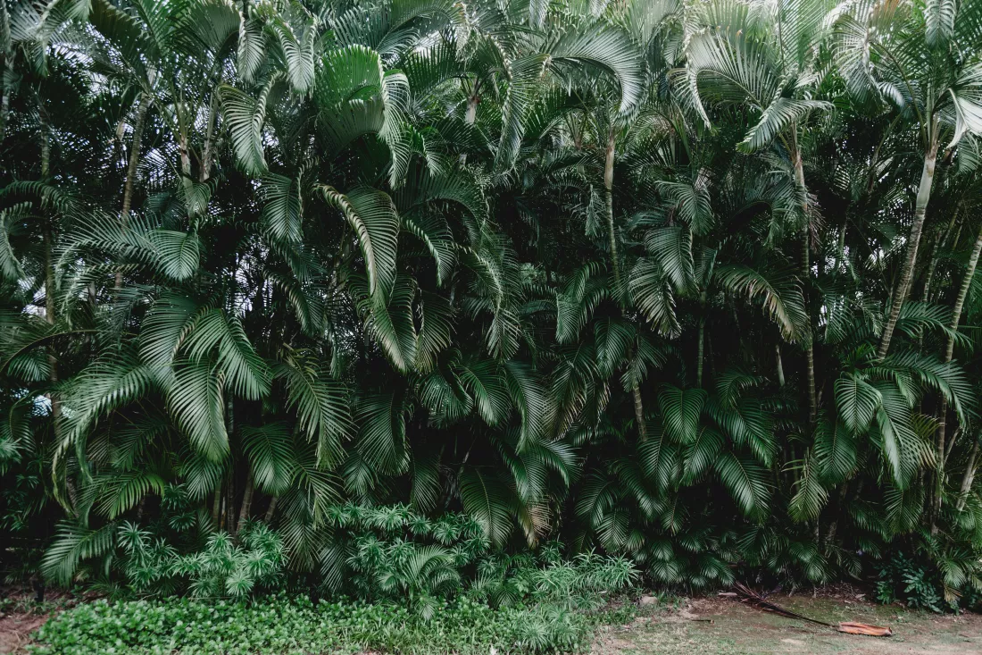 georgia-de-lotz-Ycc7BeO3rDs-unsplash