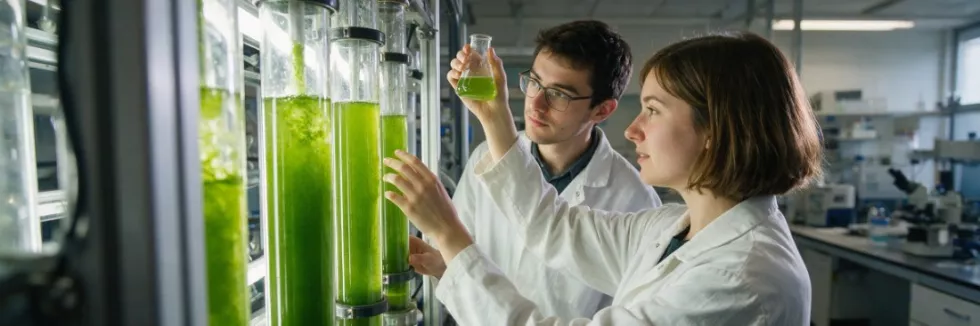 Bioinzynieria-dla-zrownowazonego-rozwoju-test-studenci-przy-fotobioreaktorze-z-algami