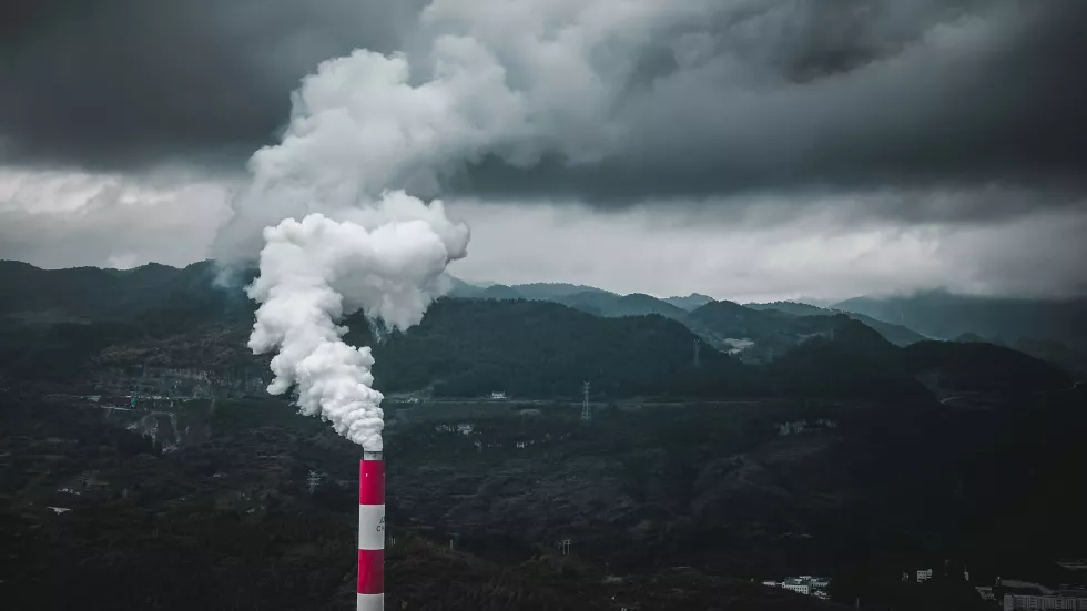 zhang-qc-ILzoiY_hPBY-unsplash(1)