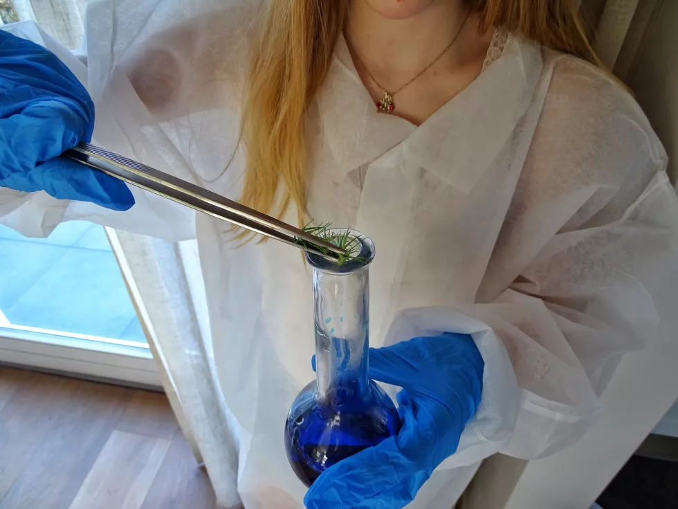 midsection-girl-mixing-plant-chemical