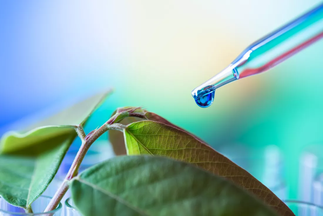close-up-insect-leaf-against-blurred-background
