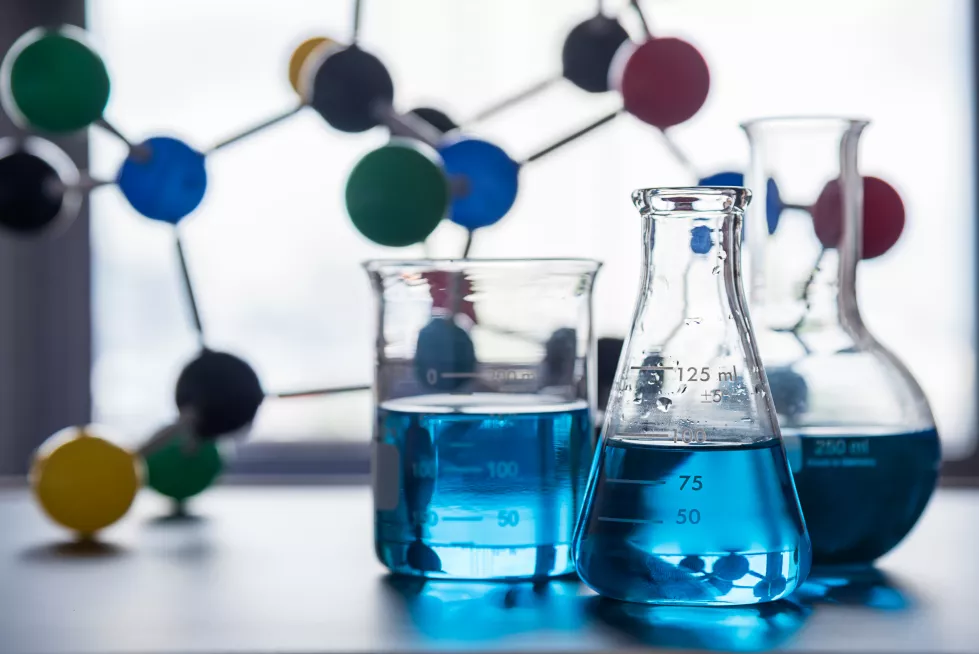 close-up-wine-glasses