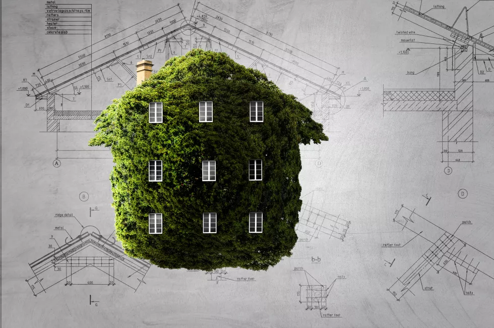 image-green-house-mixed-media