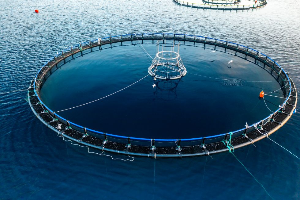 Akwakultura – biznes i technologia test