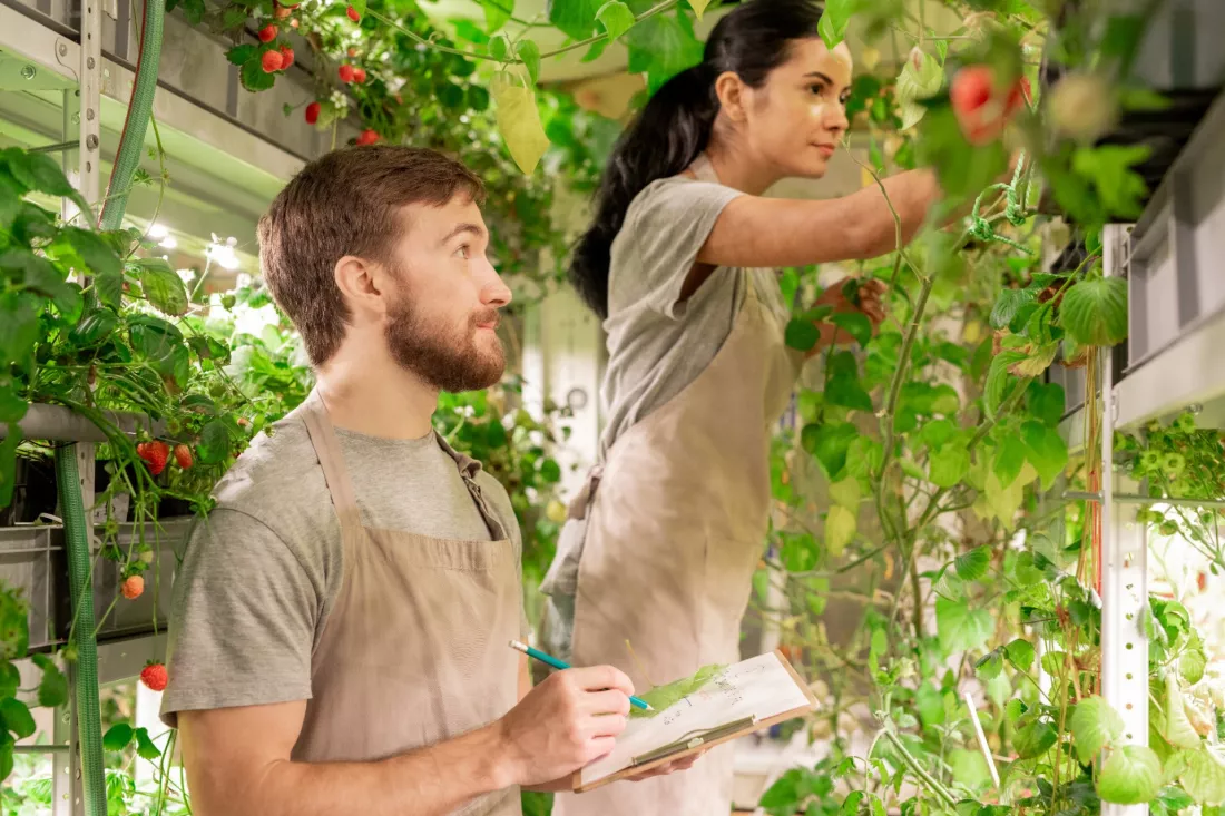 Young woman examining plants in a greenhouse while a colleague takes notes