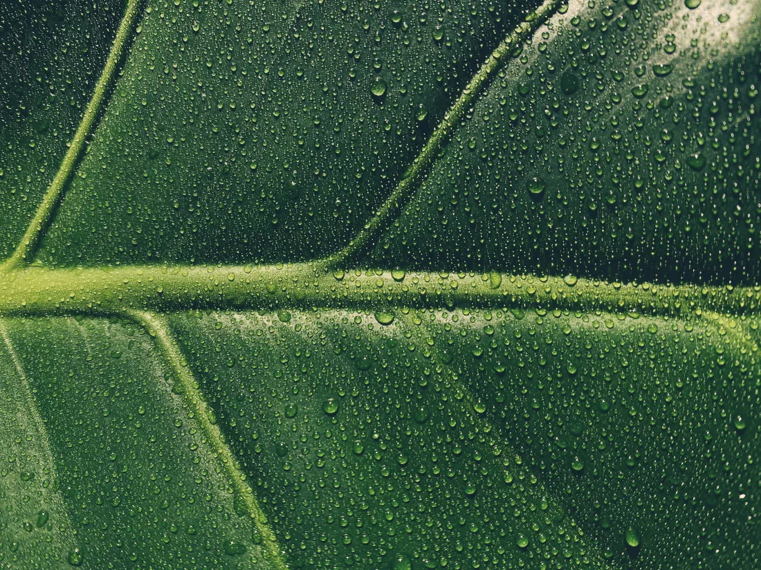 hope-rivers-MSgLEgdIUiA-unsplash