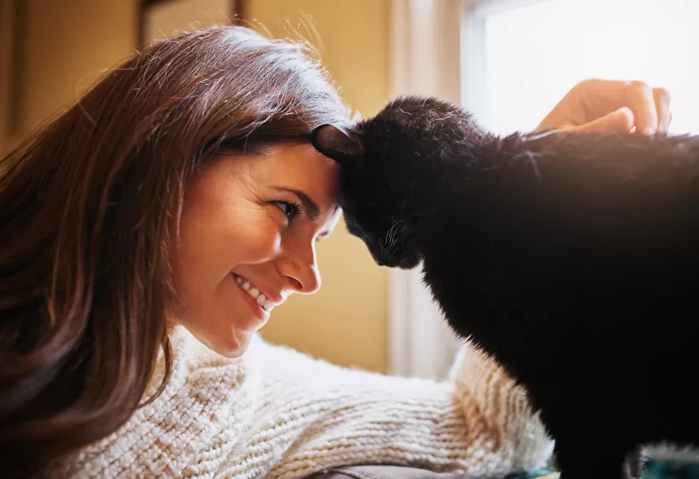 woman-cat-forehead-touch-connection-home-scratch-support-animal-companion-sofa-female-person-relax-calm-living-room-stroke-pet-trust-affection-loyalty