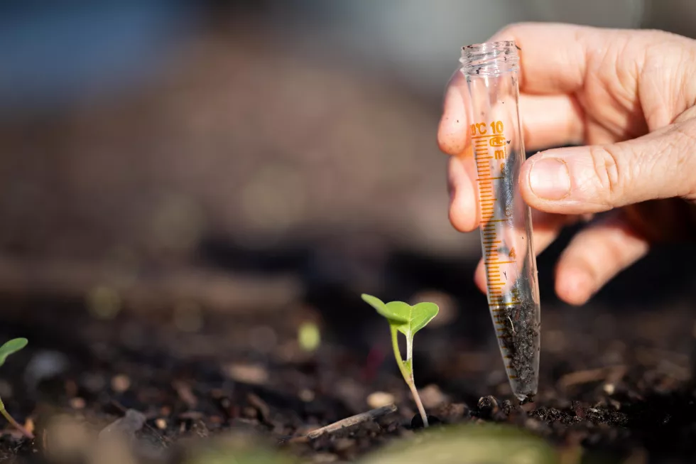 farmer-collecting-soil-samples-test-tube-field-agronomist-checking-soil-carbon-plant-health-farm-soil-science-agriculture