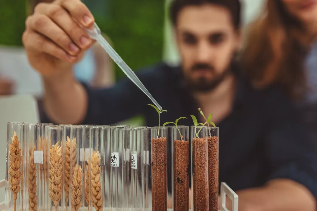 university-biologist-is-analyzing-sample-plant-lab-tube-watering-it-with-drops-nutritious-fluid