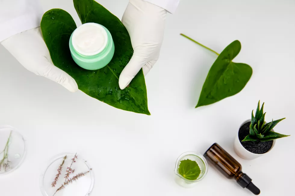 high-angle-view-leaves-container-table