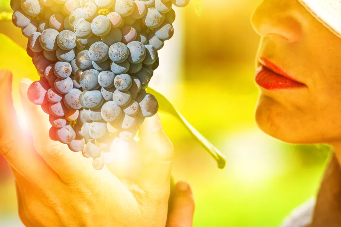 close-up-woman-holding-grapes