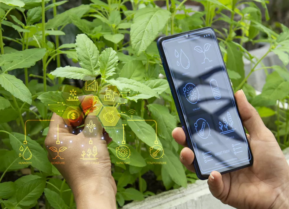 concept-using-ai-smart-farmingx9