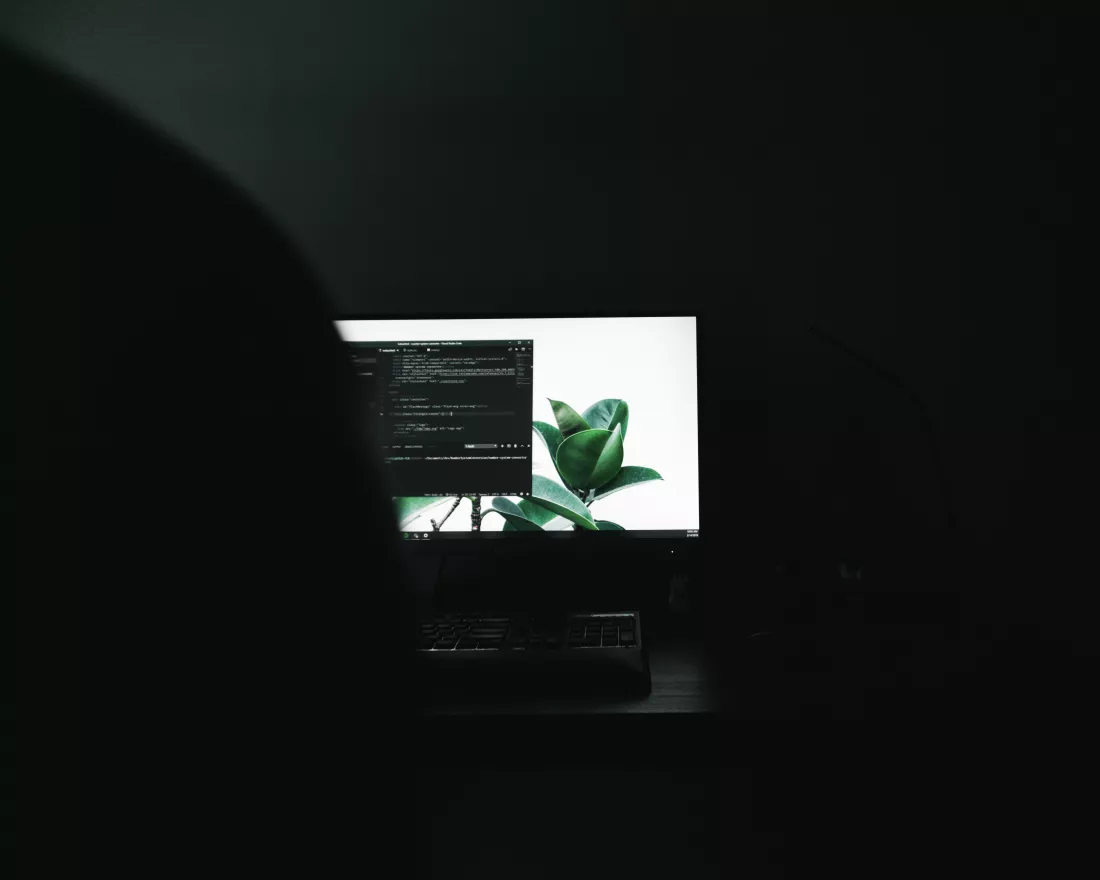 fernando-hernandez-CosHjyONRk8-unsplash