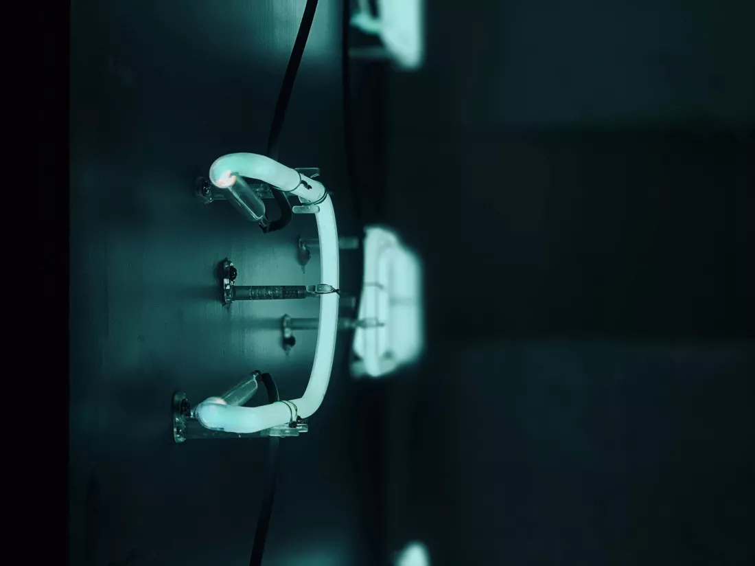 clark-gu-CsN8ptVTcIo-unsplash