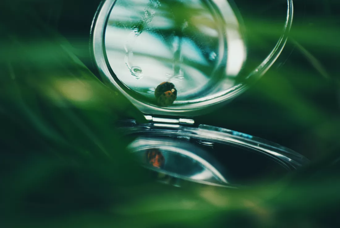 pocket-mirror-with-ladybug-grass