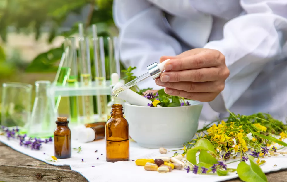 medicinal-herbs-homeopathy-alternative-medicine-selective-focus
