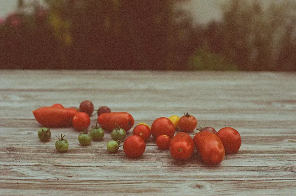 markus-spiske-EKI2G0XuA_U-unsplash