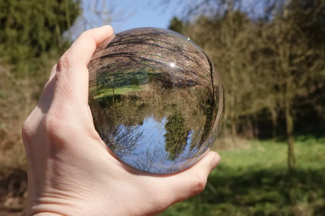 cropped-hand-holding-crystal-ball-with-reflection-forest