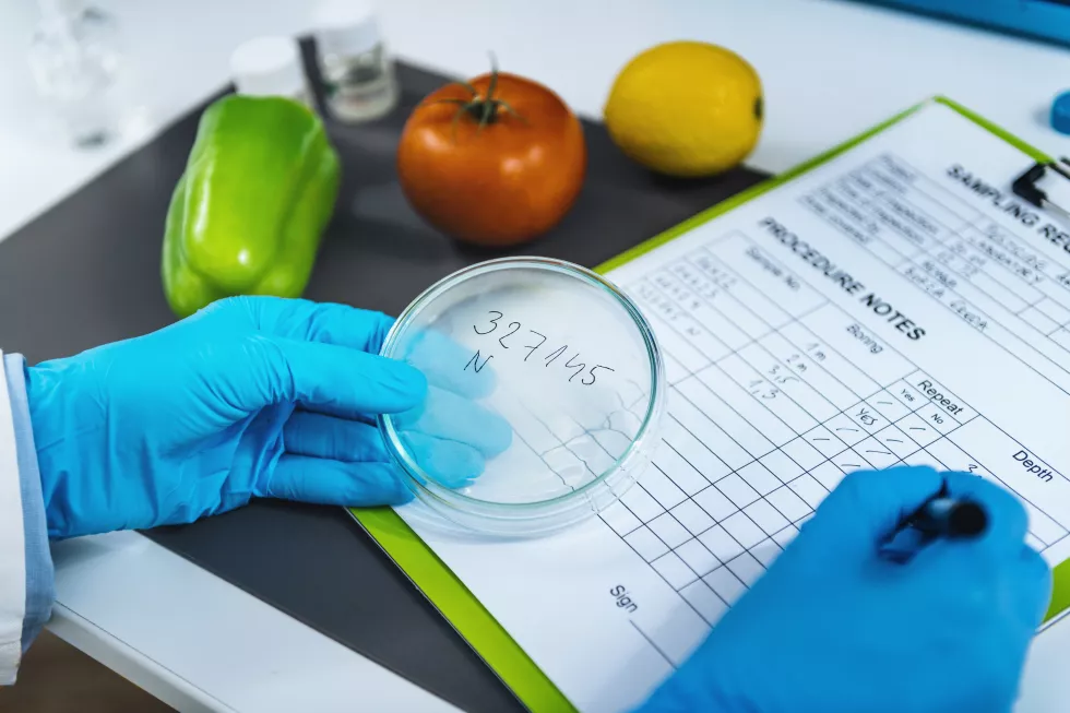 food-quality-assessment-microbiology-laboratory