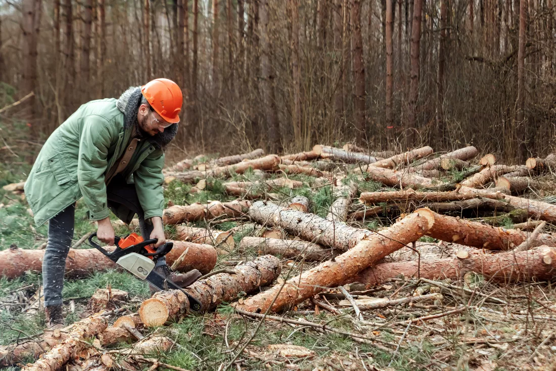 Eksploatacja zasobów naturalnychv