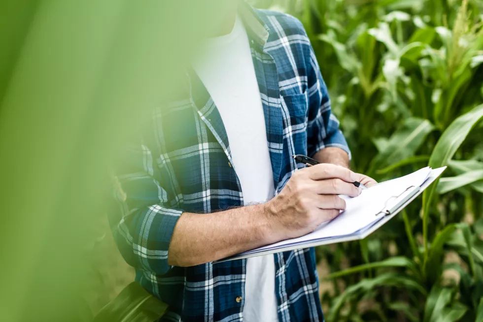 farmer-inspecting-corn-field-summer-sunny-day(1)