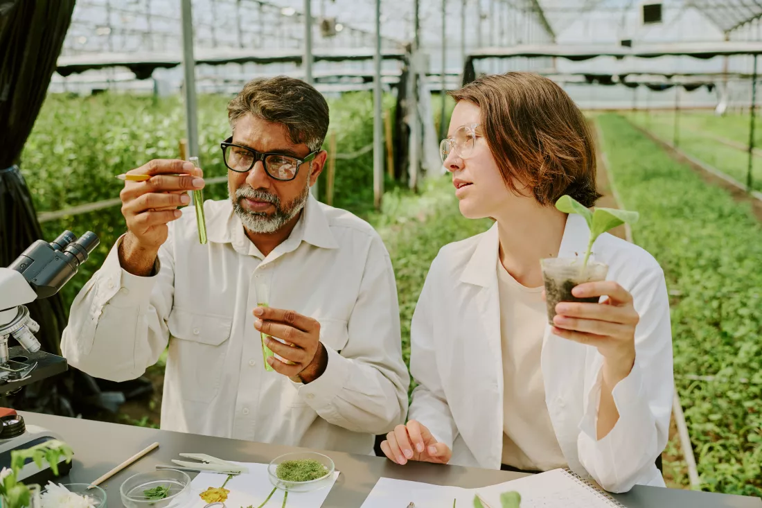 examining-plants-scientific-laboratory-setting