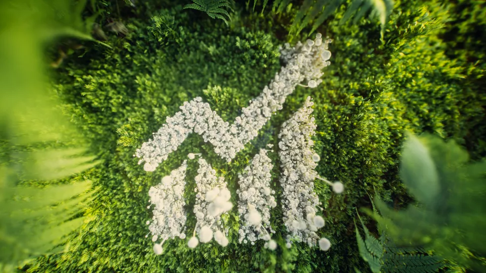 symbolic-3d-rendering-upward-arrow-chart-made-mushrooms-vibrant-green-moss-ferns