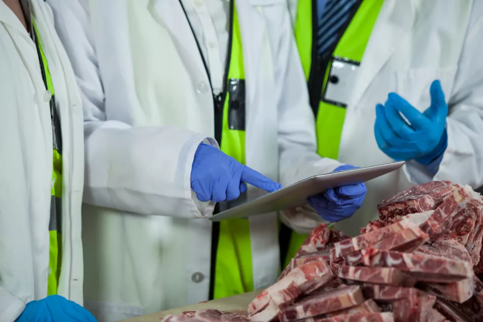 technician-using-digital-tablet-while-examining-meat