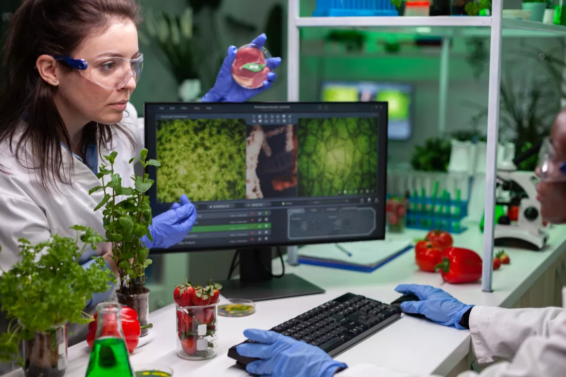 multi-ethnic-team-analyzing-bio-meat-sample-working-biochemistry-experiment-discussing-medical-expertise-hospital-laboratory-diversity-biologists-researching-food-modified-genetically